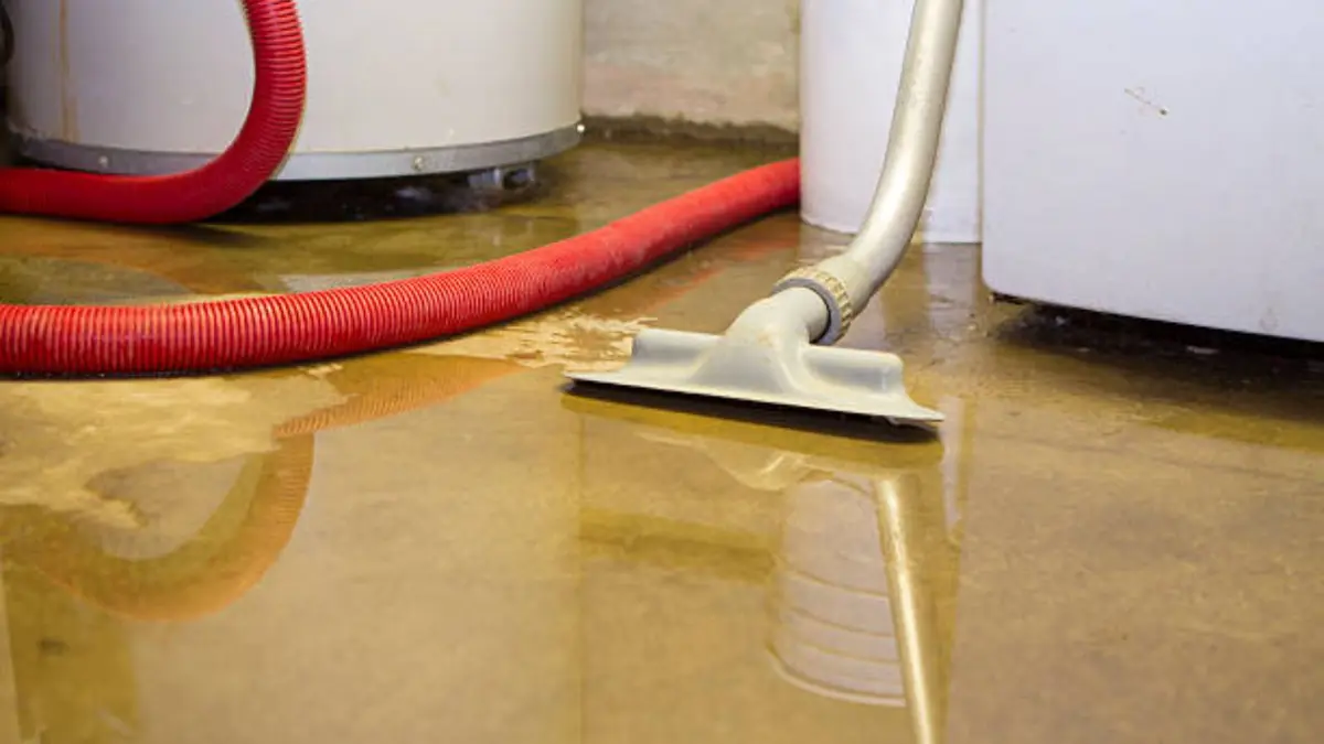 Wet vacuum cleaning a damp floor next to a water-damaged baseboard