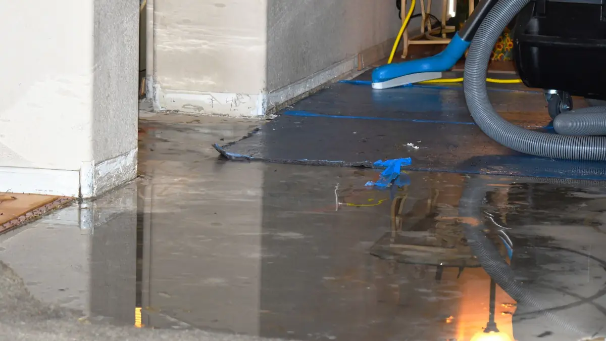 Hose and extraction gear working on standing water on a floor