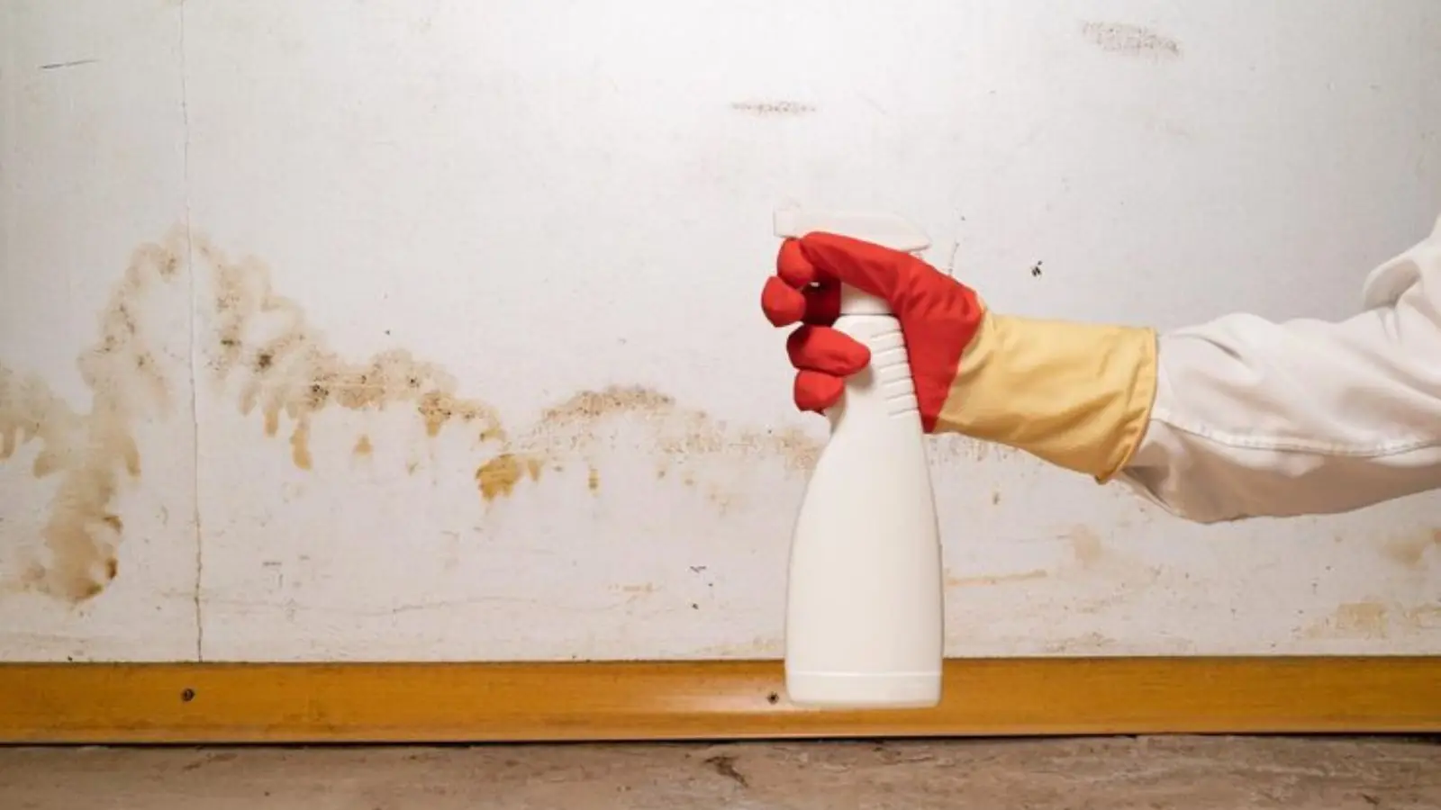 Gloved hand holding a spray bottle beside a mold-stained wall