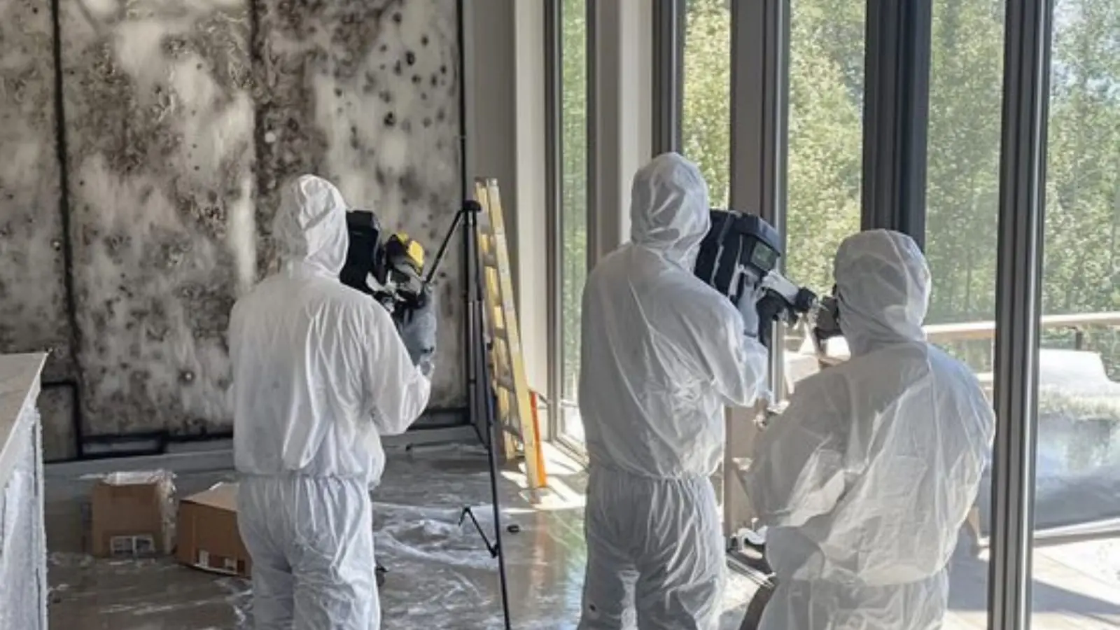 Remediation crew in protective suits working in a room with mold on the walls
