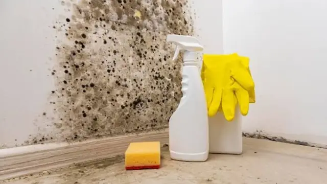 Black mold on a wall next to cleaning supplies